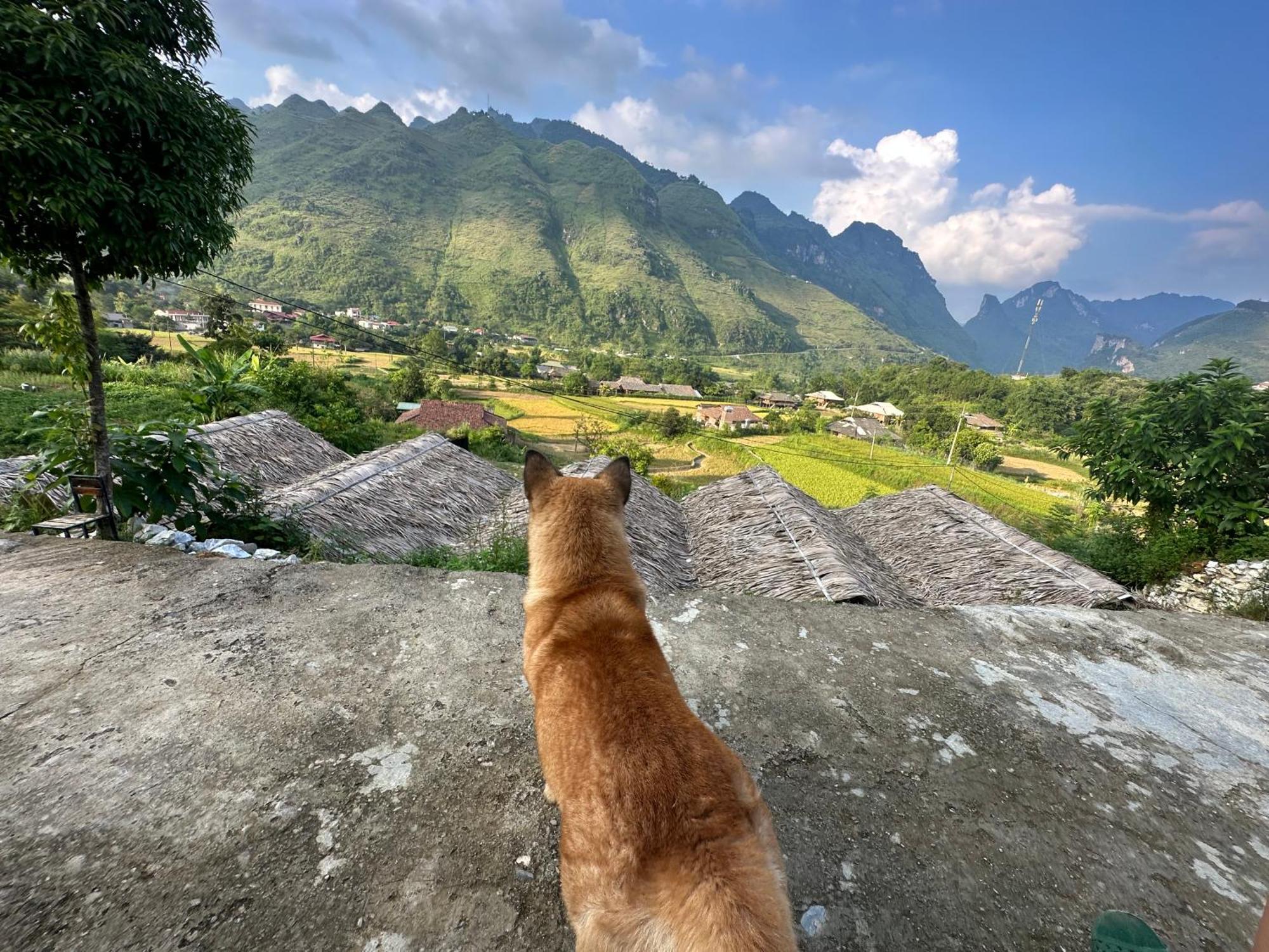 Du Gia Cozy Homestay & Tours Làng Cac エクステリア 写真